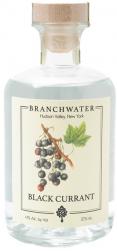 Branchwater - Black Currant Brandy (375ml)